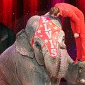 0082Heilbronner Weihnachtscircus2012(c)Stefan Nolte-www.circusphotos.de_resized_resized.jpg